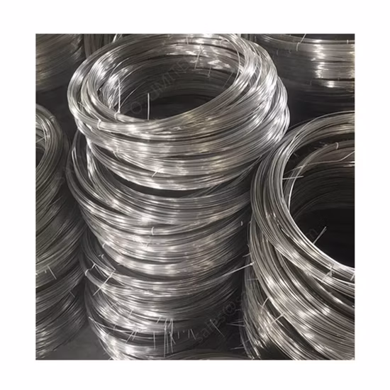 Robuster 0,55 mm Titandraht für die Uhren- und Schmuckherstellung