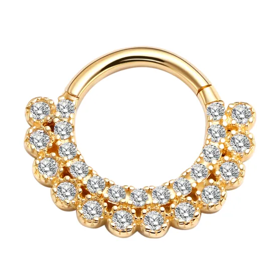Eternal Metal ASTM F136 Titan-Klickerring mit Scharniersegment und Amethyststein